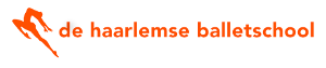 DHBweblogo_oranje300v2